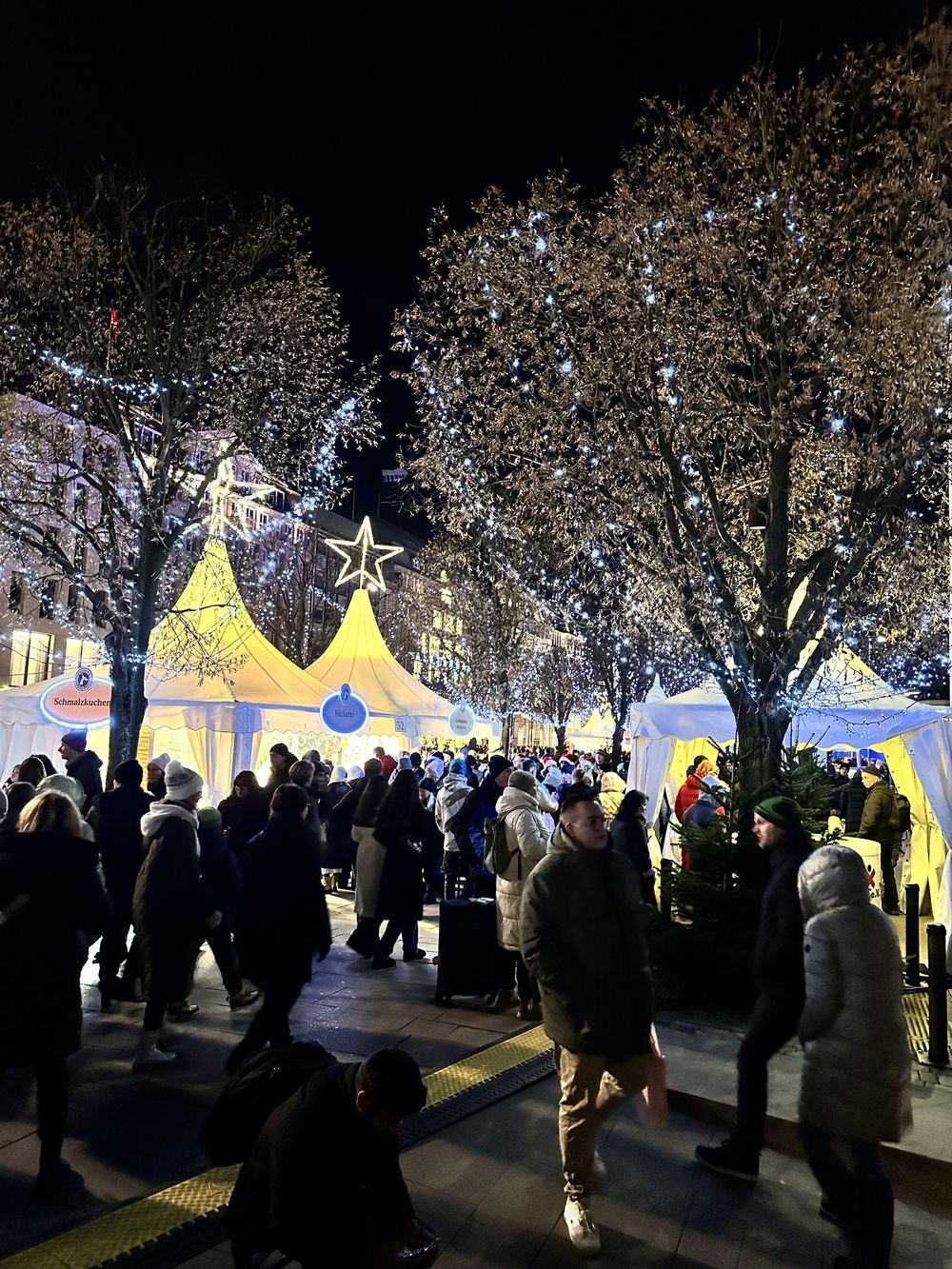 Lichtergeschmückte Bäume und Buden auf dem Weißerzauber bei Nacht